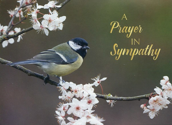 Christian Condolence Cards