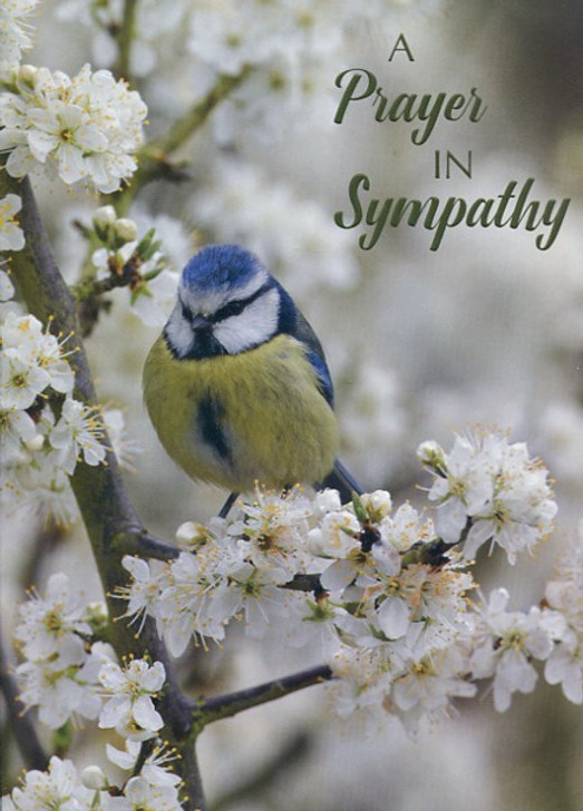 Christian Condolence Cards
