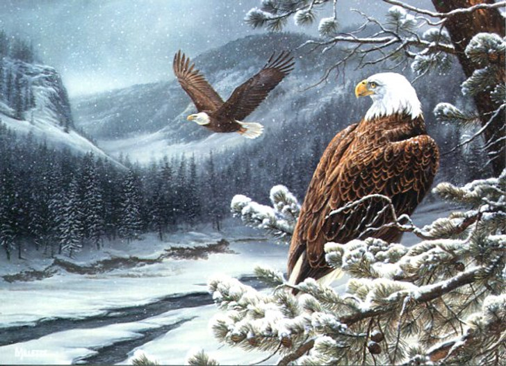 Heartwarming Thoughts Birthday Cards