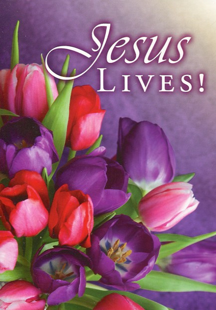 Boxed Secret Sister Cards