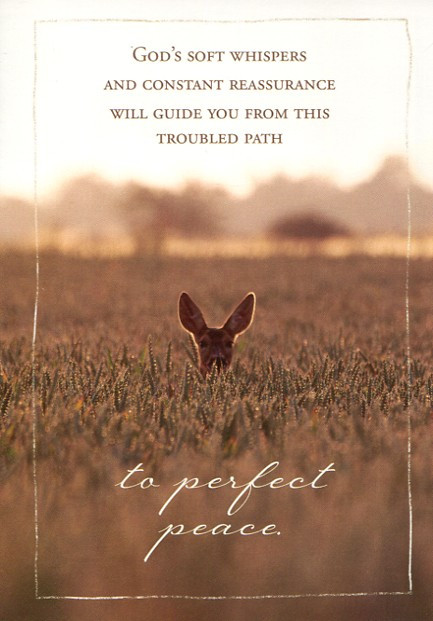 Christian Empathy Cards