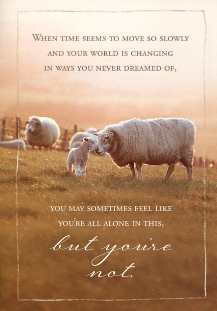 Christian Empathy Cards