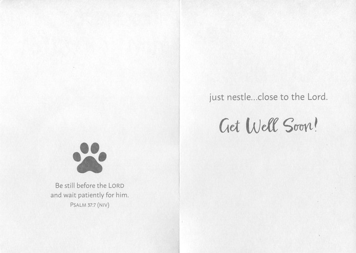 Boxed Get Well Cards