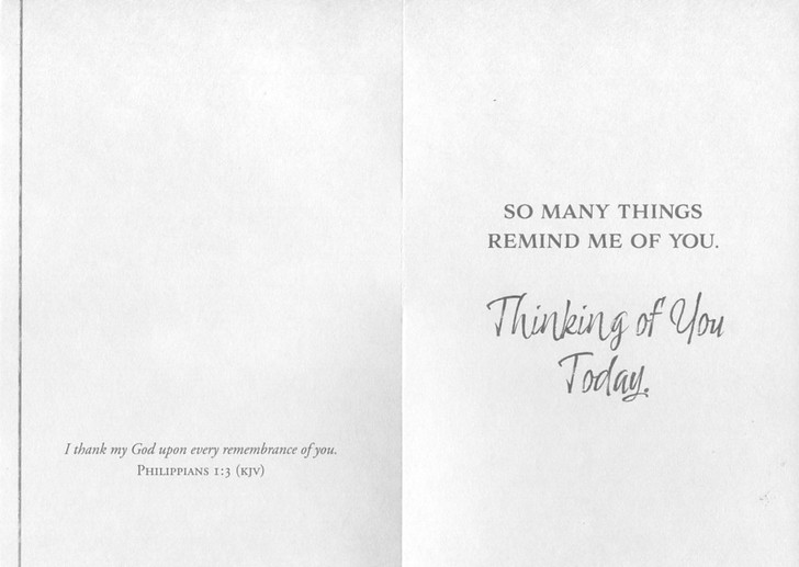 Thinking of You Greeting Cards