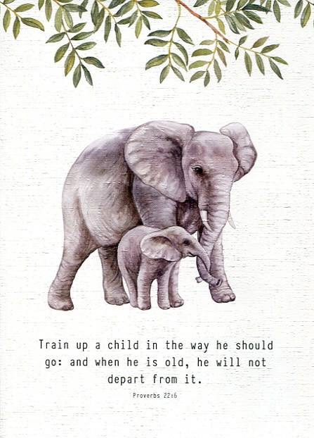 Baby Congratulations Cards