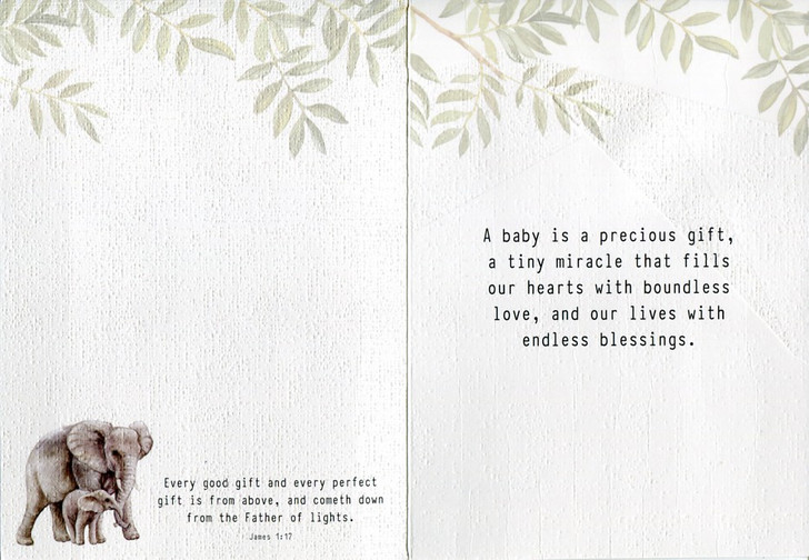 Baby Congratulations Cards