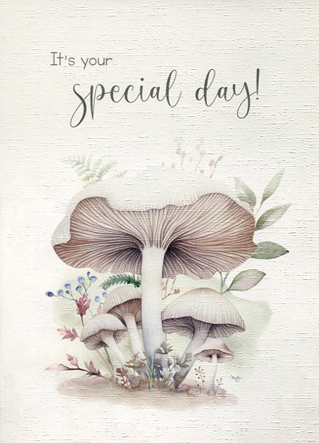 Heartwarming Thoughts Birthday Cards