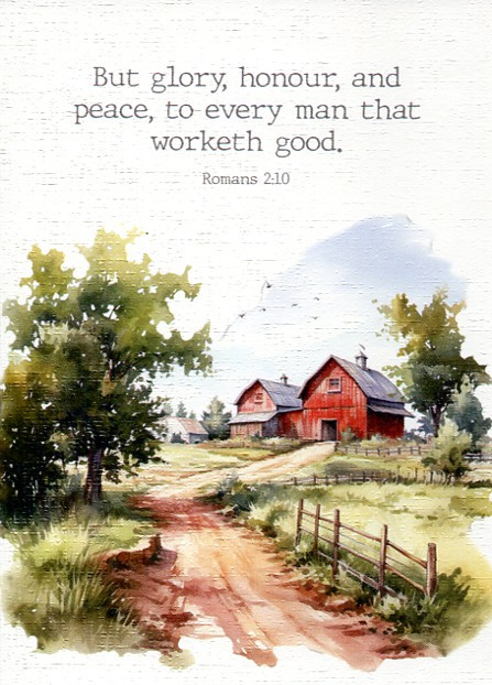 Boxed Birthday Cards