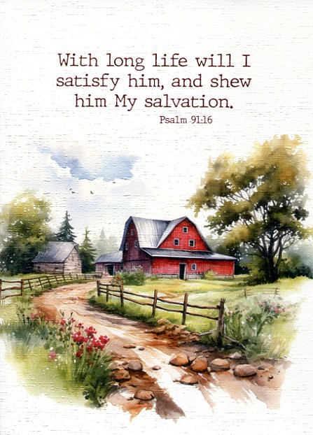 Boxed Birthday Cards