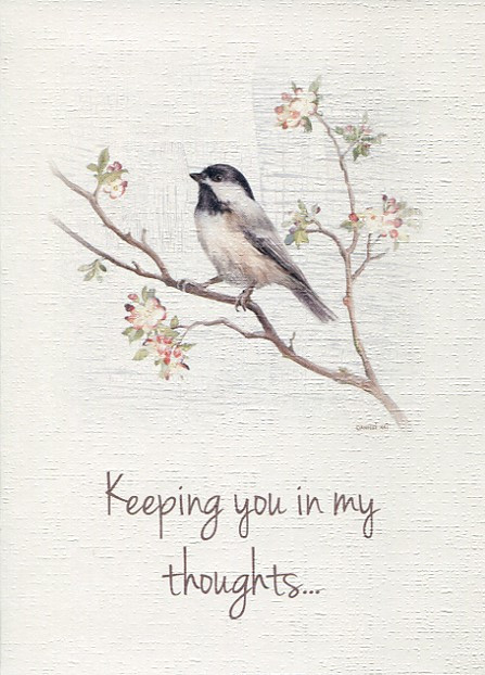 Cards of Encouragement