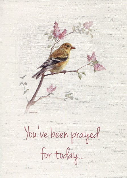 Cards of Encouragement