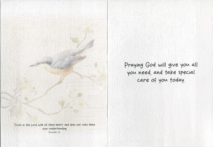 Cards of Encouragement