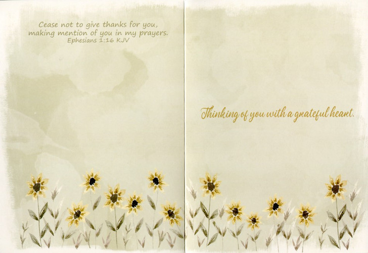 boxed thank you cards