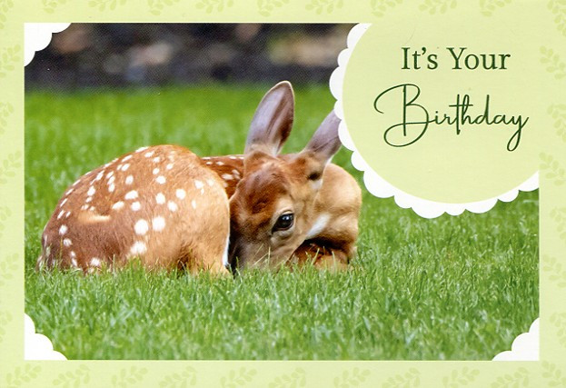 children animal birthday cards