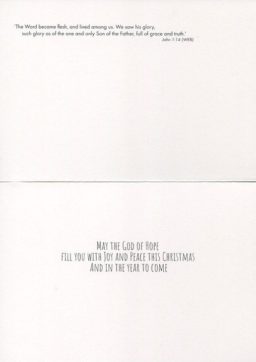 Religious Manger Scene Christmas Cards