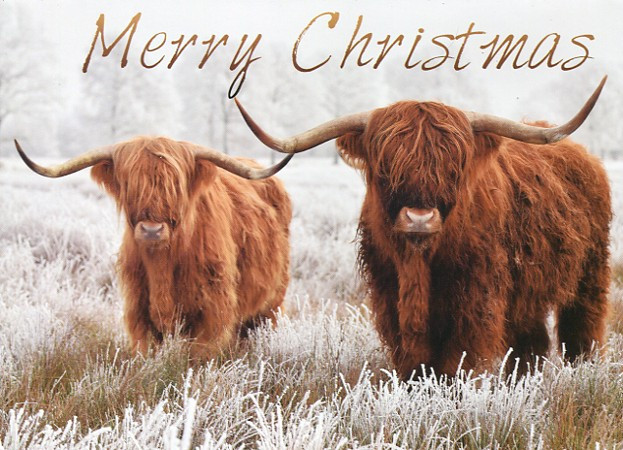 Christmas Cards