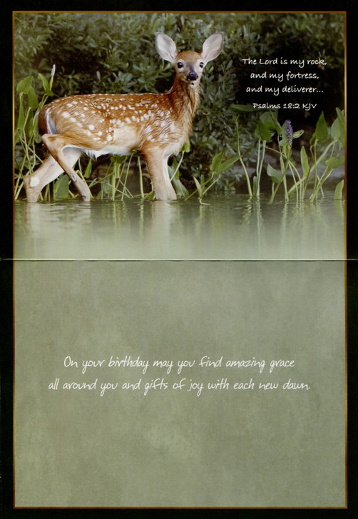 Deer birthday cards for men