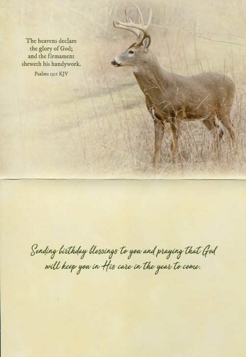 Deer birthday cards for men