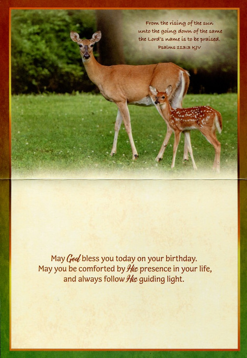 Deer birthday cards for men