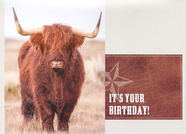 Highlander Birthday Cards