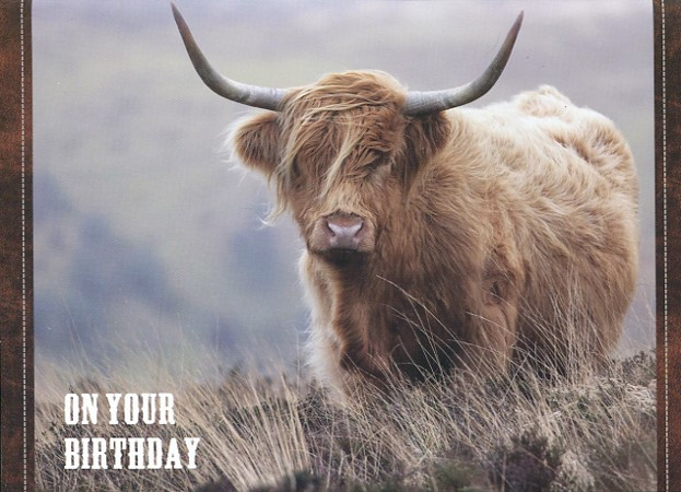 Highlander Birthday Cards