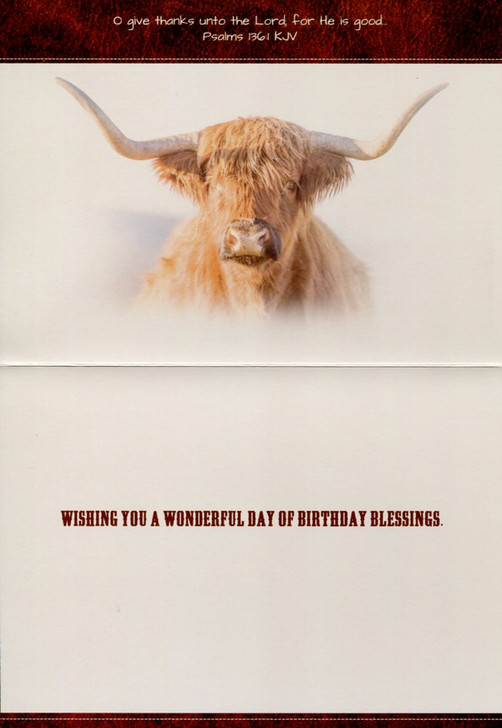 Highlander Birthday Cards