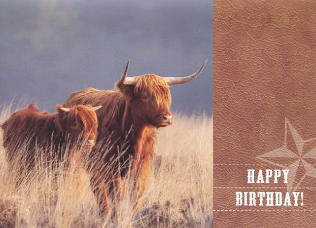 Highlander Birthday Cards