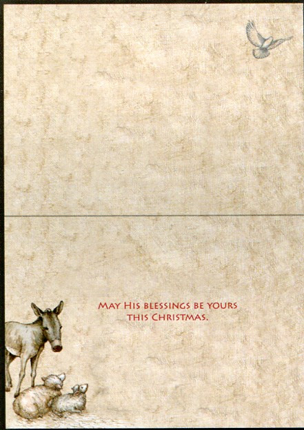 Christmas Manger Scene Cards