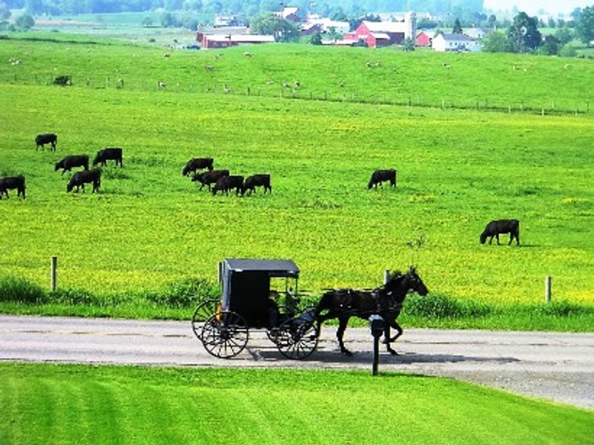 An Invitation to Ohio's Amish Country