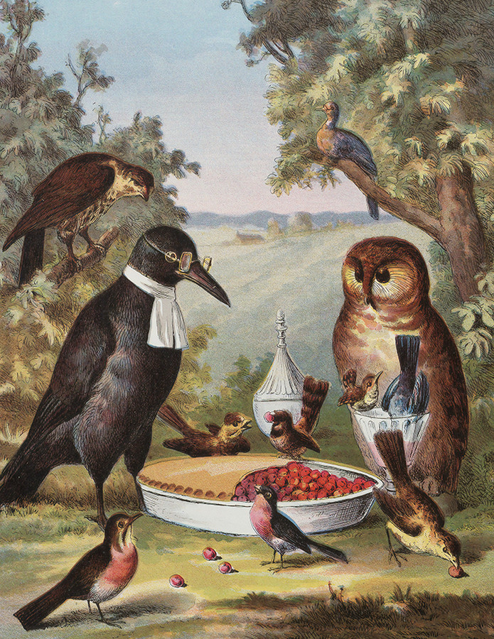 Beautiful Animal Digital Paint