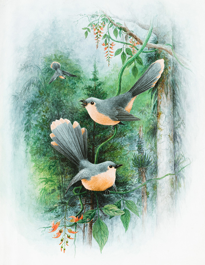 Beautiful Animal Digital Paint