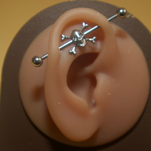 Steel Skull Industrial Barbell Body Piercing Jewelry Steel Skull Industrial Barbell Body Piercing Jewelry