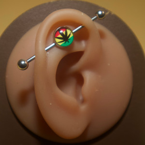 Steel Leaf Industrial Barbell Body Piercing Jewelry Steel Leaf Industrial Barbell Body Piercing Jewelry