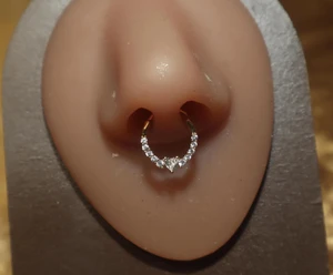 Septum Heart Middle