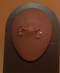 Lavish Dangle Nipple Rings Body Piercing Jewelry Lavish Dangle Nipple Rings Body Piercing Jewelry