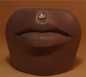 Bumblebee Labret Lip Ring Stud Piercing Bumblebee Labret Lip Ring Stud Piercing