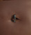 Five Line Gem Belly Button Body Piercing Five Line Gem Belly Button Body Piercing