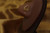 African swirl oval nose cuff African swirl oval nose cuff