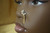 Dangle Chain Six Star Gem Nose Stud Piercing Jewelry Dangle Chain Six Star Gem Nose Stud Piercing Jewelry