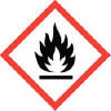 Flame Pictogram