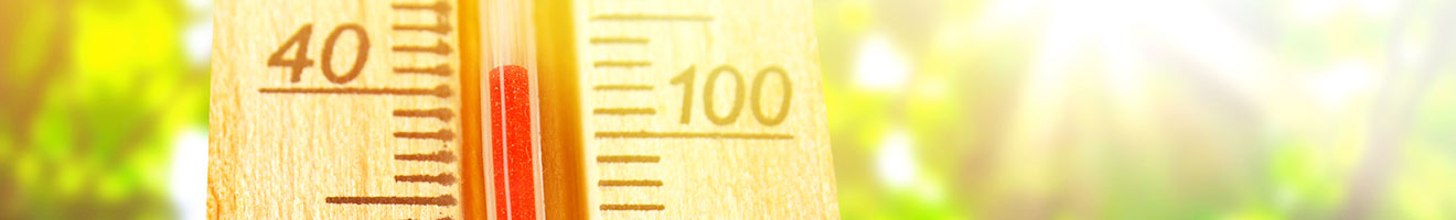 What is Heat Stress? What is Heat Stress?