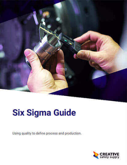 Six Sigma Guide