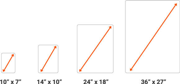 Standard Size Options
