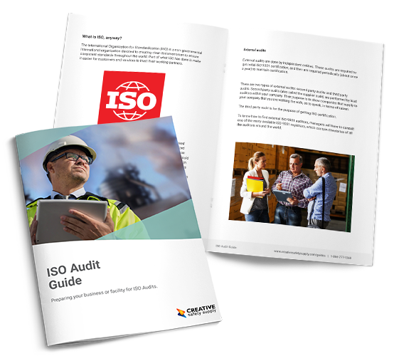 ISO Audit Guide