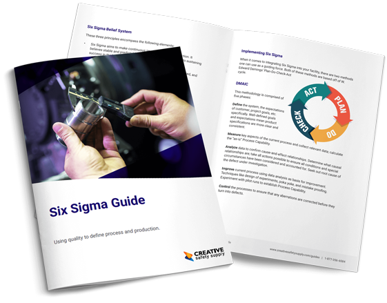 Six Sigma Guide