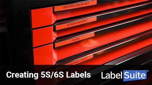 creating 5s/6s labels in labelsuite™ Creating 5S/6S Labels in LabelSuite™