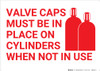Valve Caps Must Be In Place On Cylinders with Icon Landscape - Wall Sign