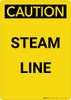 Caution: Steam Line - Portrait Wall Sign