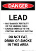 Lead Hazard - Portrait Wall Sign