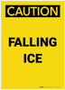 Caution: Falling Ice Portrait - Label Caution: Falling Ice Portrait - Label